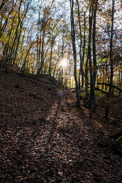 Góry Strazov Republika Słowacka Sezonowa Scena Naturalna Cel Podróży — Zdjęcie stockowe