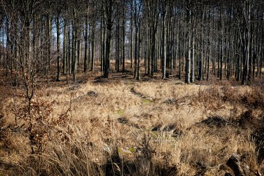 Küçük Karpatlar manzarası, Slovak cumhuriyeti. Mevsimsel doğal sahne. Seyahat hedefi.