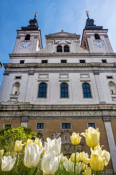 Catedral São João Batista Trnava República Eslovaca Arquitetura Religiosa Destino — Fotografia de Stock