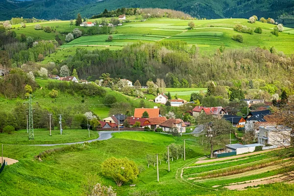 Paysage Agraire Historique Hrinovske Paresseux République Slovaque Destination Voyage Scène — Photo