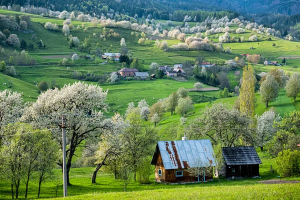 Historyczny Krajobraz Agrarny Leniwy Hrinovske Republika Słowacka Cel Podróży Sezonowa — Zdjęcie stockowe