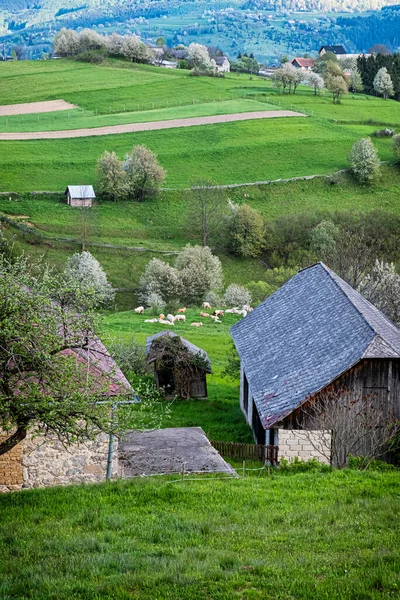Tarihsel Tarım Manzarası Hrinovske Tembelliği Slovak Cumhuriyeti Seyahat Güzergahı Mevsimsel — Stok fotoğraf