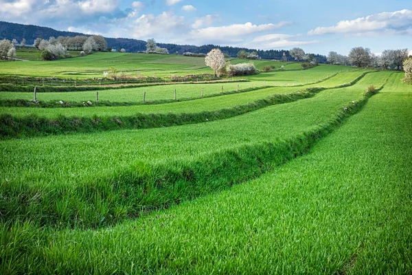 Historisch Agrarisch Landschap Hrinovske Lui Slowakije Reisbestemming Seizoensgebonden Natuur — Stockfoto