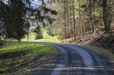 Doğal manzara, Polana dağları, Slovak cumhuriyeti. Yürüyüş teması. Mevsimsel doğal sahne.