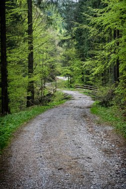 Doğal manzara, Polana dağları, Slovak cumhuriyeti. Yürüyüş teması. Mevsimsel doğal sahne.