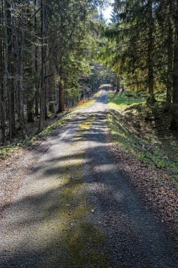 Doğal manzara, Polana dağları, Slovak cumhuriyeti. Yürüyüş teması. Mevsimsel doğal sahne.