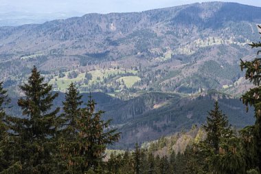 Doğal manzara, Polana dağları, Slovak cumhuriyeti. Yürüyüş teması. Mevsimsel doğal sahne.