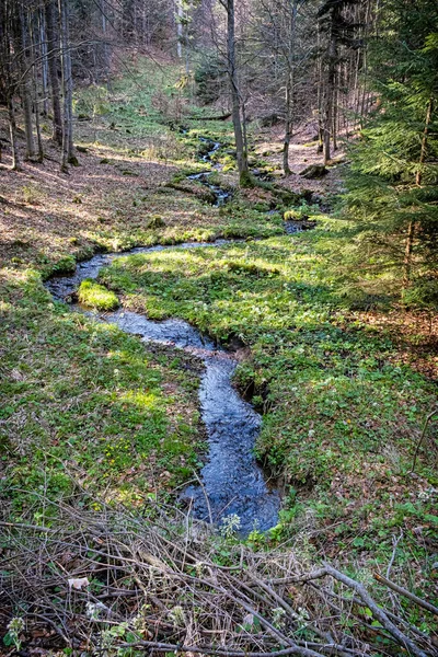 Naturlandschaft Polana Gebirge Slowakische Republik Wanderthema Saisonale Naturszene — Stockfoto