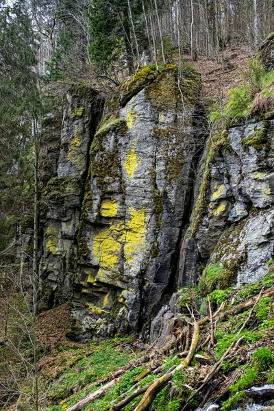 Naturlandschaft Polana Gebirge Slowakische Republik Wanderthema Saisonale Naturszene — Stockfoto