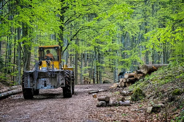 Tala Árboles Las Montañas Polana República Eslovaca Tema Deforestación Escena —  Fotos de Stock