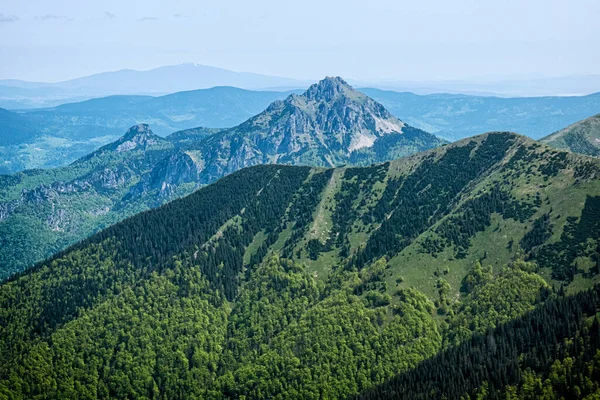 ビッグRozsutec丘 山の景色 リトルファトラ スロバキア共和国 ハイキングのテーマ 四季折々の自然 — ストック写真
