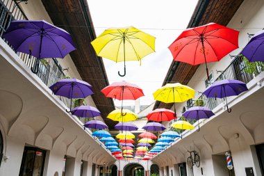 Renkli asılı şemsiyeler, Kosice, Slovakya Cumhuriyeti. Seyahat hedefi.