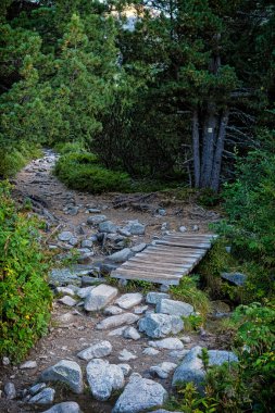 Mlynicka Vadisi, Yüksek Tatras Dağı, Slovakya Cumhuriyeti. Yürüyüş teması. Mevsimsel doğal sahne.