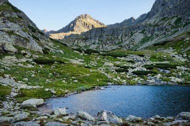 Mlynicka Vadisi, High Tatras Dağı, Slovak Cumhuriyeti 'nde tarn ile doğal manzara. Yürüyüş teması.