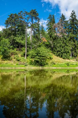 Stiavnica Dağları 'ndaki su deposu Ottergrund, Slovakya Cumhuriyeti. Mevsimsel doğal sahne. Yürüyüş teması.