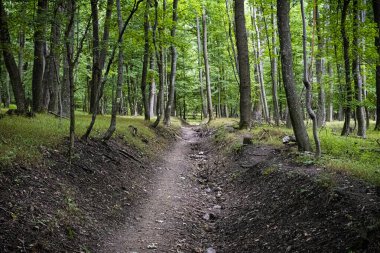 Marhat, Povazsky Inovec Dağları, Slovakya Cumhuriyeti. Yürüyüş teması. Mevsimsel doğal sahne.