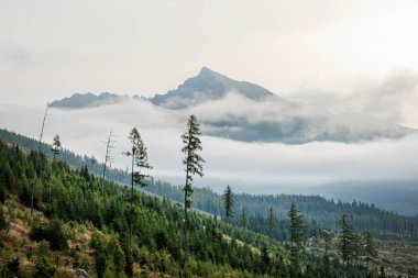 Krivan Peak, Bystra Vadisi, Batı Tatras Dağı, Slovak Cumhuriyeti. Yürüyüş teması. Mevsimsel doğal sahne.