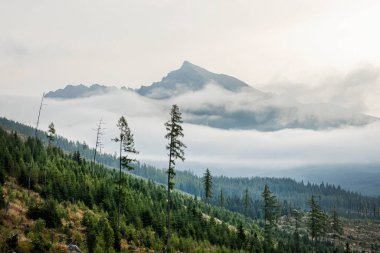 Krivan peak from Bystra valley, Western Tatras mountain, Slovak republic. Hiking theme. Seasonal natural scene. clipart