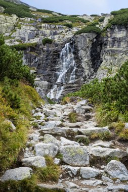 Mlynicka Vadisi 'ndeki Şelale Skok, Yüksek Tatras Dağı, Slovak Cumhuriyeti. Yürüyüş teması. Mevsimsel doğal sahne.