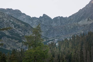 Mlynicka Vadisi, Yüksek Tatras Dağı, Slovakya Cumhuriyeti. Yürüyüş teması. Mevsimsel doğal sahne.