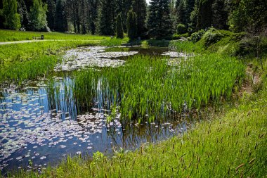 Tesarske Mlynany, Slovak Cumhuriyeti 'ndeki doğal manzara. Seyahat hedefi.