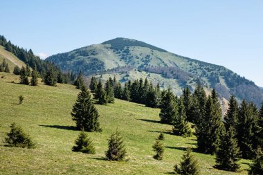 Rakytov Tepesi, Büyük Fatra Dağları manzarası, Slovakya Cumhuriyeti. Mevsimsel doğal sahne. Seyahat güzergahı. Yürüyüş teması.
