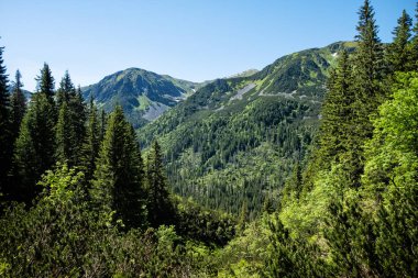 Sessiz vadi, Yüksek Tatras dağı, Slovakya Cumhuriyeti. Yürüyüş teması. Mevsimsel doğal sahne.
