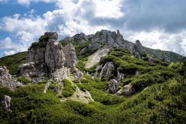 Batı Tatras dağ manzarası, Slovak cumhuriyeti. Yürüyüş teması. Mevsimsel doğal sahne.