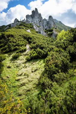 Batı Tatras dağ manzarası, Slovak cumhuriyeti. Yürüyüş teması. Mevsimsel doğal sahne.