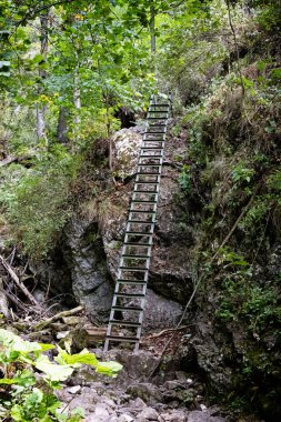 Zejmarska vadisi, Slovakya, Europa 'daki Slovak Paradise ulusal parkı. Mevsimsel doğal sahne. Seyahat hedefi.