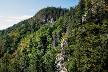 Zejmarska vadisi, Slovakya, Europa 'daki Slovak Paradise ulusal parkı. Mevsimsel doğal sahne. Seyahat hedefi.