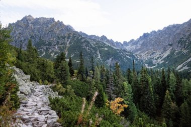 Mengusovska Vadisi, Yüksek Tatras Dağları, Slovakya Cumhuriyeti 'nde gündoğumu sahnesi. Yürüyüş teması.