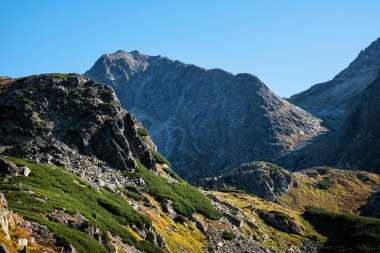 Mengusovska vadisi manzarası, yüksek Tatras dağları, Slovak cumhuriyeti. Yürüyüş teması. Mevsimsel doğal sahne.