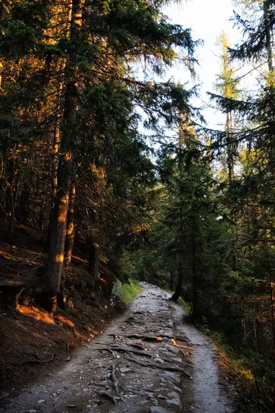 Mengusovska Vadisi, Yüksek Tatras Dağları, Slovakya Cumhuriyeti 'nde gündoğumu sahnesi. Yürüyüş teması.