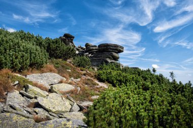 Kralova Hola, Slovakya 'nın Sumiac köyünden Low Tatras. Mevsimsel doğal sahne. Seyahat hedefi.