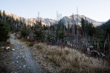 Dill valley, High Tatras mountain, Slovak republic. Hiking theme. Seasonal natural scene. clipart