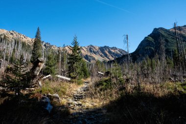 Dill Vadisi, Yüksek Tatras Dağı, Slovakya Cumhuriyeti. Yürüyüş teması. Mevsimsel doğal sahne.