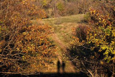 Mevsimlik doğal manzara, Tribec sıradağları, Slovakya Cumhuriyeti. Seyahat güzergahı. Yürüyüş teması.