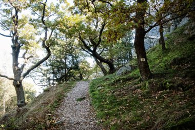 Mevsimlik doğal manzara, Tribec sıradağları, Slovakya Cumhuriyeti. Seyahat güzergahı. Yürüyüş teması.