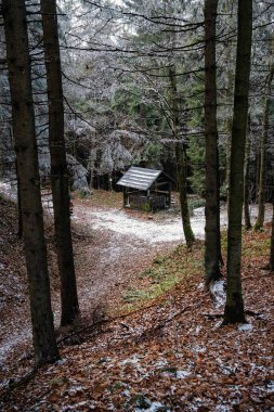 Mevsimsel doğal manzara, Kremnica Dağları, Slovakya Cumhuriyeti. Seyahat güzergahı. Yürüyüş teması.