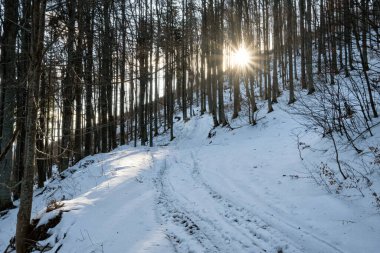 Büyük Fatra Dağları, Slovakya Cumhuriyeti. Karlı bir manzara. Mevsimsel doğal sahne. Seyahat güzergahı. Yürüyüş teması.