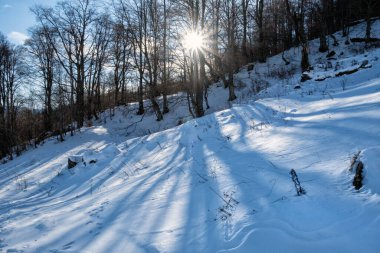 Büyük Fatra Dağları, Slovakya Cumhuriyeti. Karlı bir manzara. Mevsimsel doğal sahne. Seyahat güzergahı. Yürüyüş teması.
