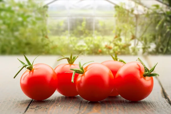 Small red cherry tomatoes on wooden table with sunny greenhouse on background.