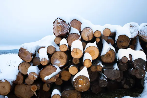 冬天堆积如山 白雪覆盖着原木 免版税图库图片