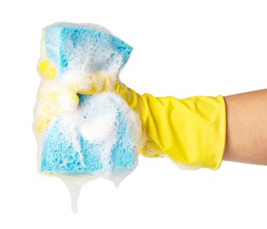 Beyaz arkaplanda el ele tutuşan temizlik süngeri izole edildi