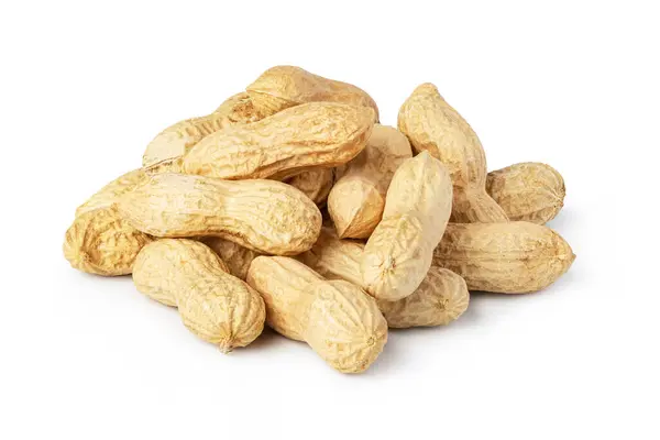 Erdnüsse Isoliert Auf Weißem Hintergrund lizenzfreie Stockfotos