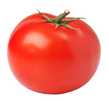 Şeffaf arkaplanda taze domates. png dosyası