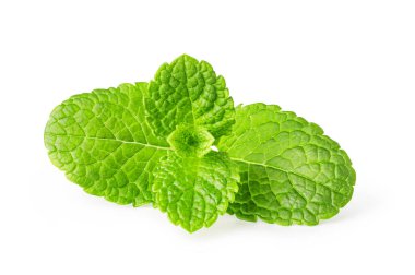 Beyaz arka planda izole edilmiş canlı yeşil nane yaprakları mutfak ve aromatik kullanımlar için tazelik sergiliyor.