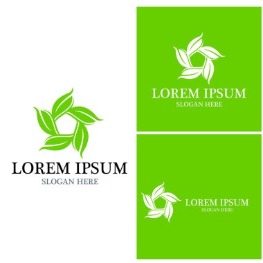 Doğa yaprağı simgesi ve sembol vektörü