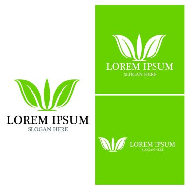 Doğa yaprağı simgesi ve sembol vektörü